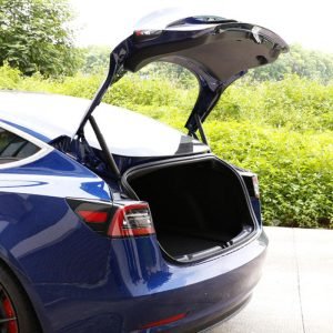 Tesla Model 3 Power Lift